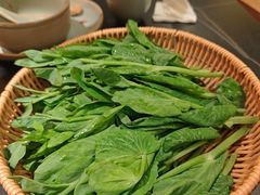-季季山·云南野生菌火锅(上海首店)
