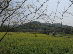 -红山村