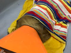-达爱动物医院·犬猫分区·CT·复杂眼科(远洋山水分院)