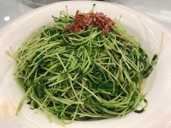 -海景壹号大酒店(滨湖店)