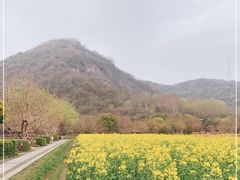 -八卦田遗址公园