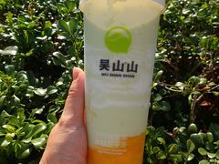 阳光芒果牛油果酸奶-吴山山·椰子酸奶(天河南店)