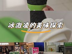 -Salud撒露欧洲冻酸奶(五道口购物中心店)