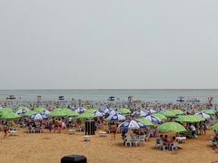 -碧海金沙