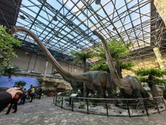 -国家自然博物馆