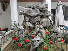 -美味之家·湖景农家乐(太湖东山店)