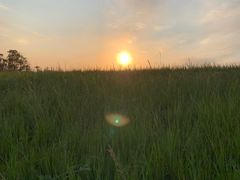 -春花秋色城市公园