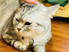 -H立方实景剧情密室(天河旗舰店)