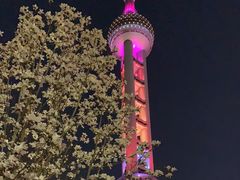 -东方明珠广播电视塔