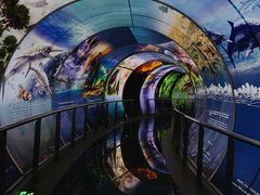 -房山世界地质公园博物馆