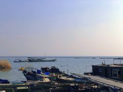-贡湖湾湿地公园