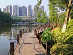 -重庆彩云湖湿地公园