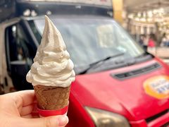 -富豪雪糕车流动点(尖沙咀店)