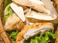 -滇野云南野生菌餐厅(陕西南路店)