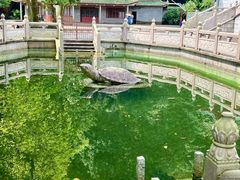 -鼎湖山风景区
