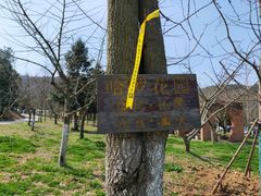 -龙寺生态园