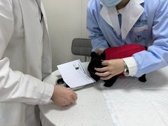 -派特宠物医院(海岸城店)