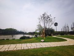 -江心屿景区