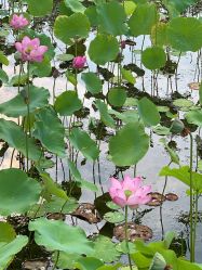 -大望京儿童游乐场