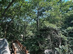 -大岭沟猕猴桃谷风景区