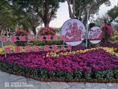 -集美鳌园景区