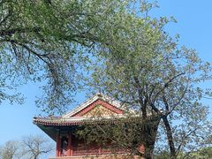-潭柘寺景区