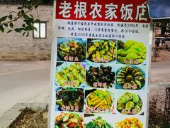 -老根农家饭店