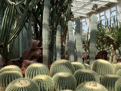 -昆明植物园