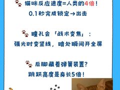 -lincat·猫舍(广州店)
