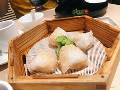 -避风塘(宝山万达店)