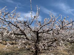 -百里峡七彩艺术小镇