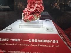 -湖南省地质博物馆