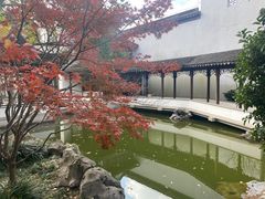 -秋霞圃
