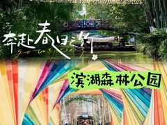 -合肥滨湖国家森林公园