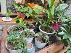 -苹果树下艺术餐厅(通州店)