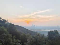 -熙朵美学植发连锁