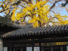 -常熟方塔园