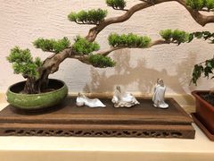 -兰亭茶叙(新新家苑店)