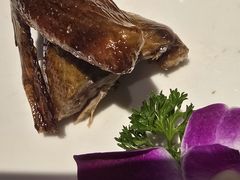 -赤宴·川菜(玉林店)