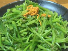 清炒水性杨花-老滇山寨•云南特色菜•地方菜•民族风情歌舞表演(金碧店)