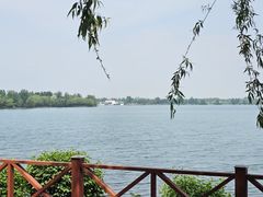 -丁香湖公园