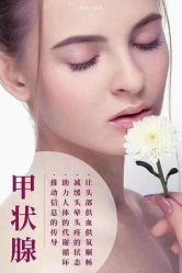 点击看大图 -隐逸SPA