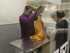 -谐和益家动物医院·免疫绝育·血液透析·宠保定点医院(高新伊藤分院)