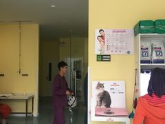 -瑞鹏宠物医院·爱宠堂·骨外专科(西荷分院)