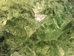 -河南自然博物馆