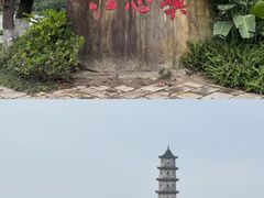 -江心屿景区