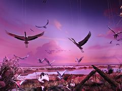 -中国湿地博物馆