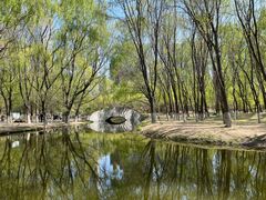 -长白岛森林公园