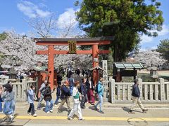 -奈良公园