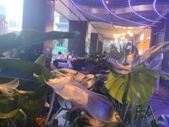 -bluefrog蓝蛙(皇庭广场店)
